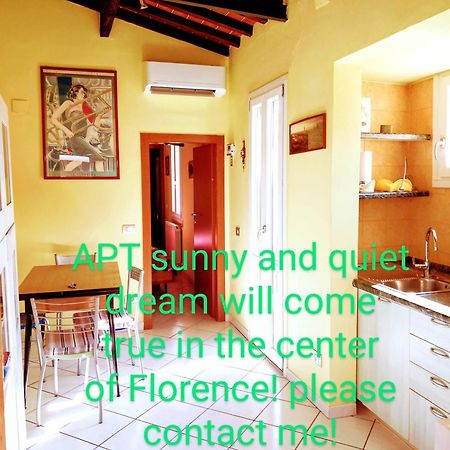 Apt Bright, Quiet! In The Center. Φλωρεντία Εξωτερικό φωτογραφία